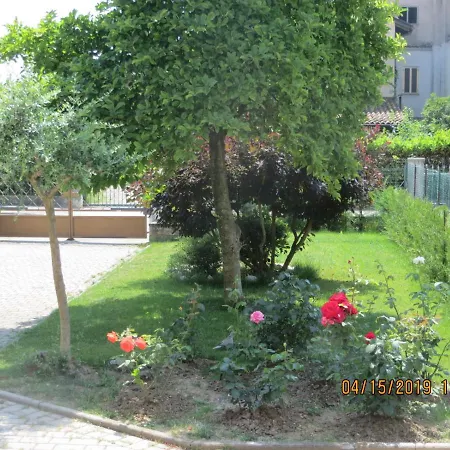 5 Palme Bed & Breakfast