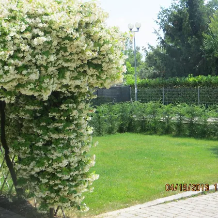 Bed & Breakfast 5 Palme