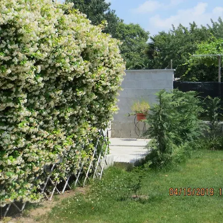5 Palme B&B 3*