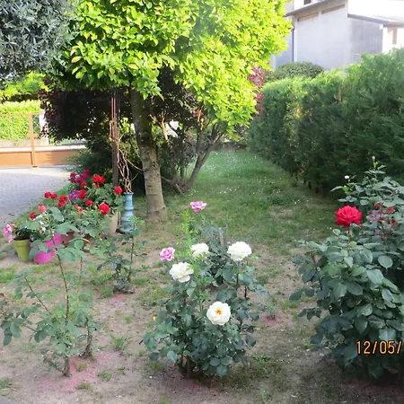 5 Palme Terzo d' Aquileia