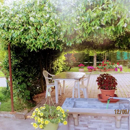 5 Palme Bed & Breakfast 3*