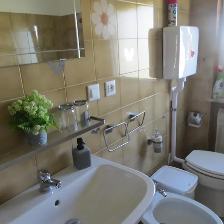 5 Palme Terzo d' Aquileia