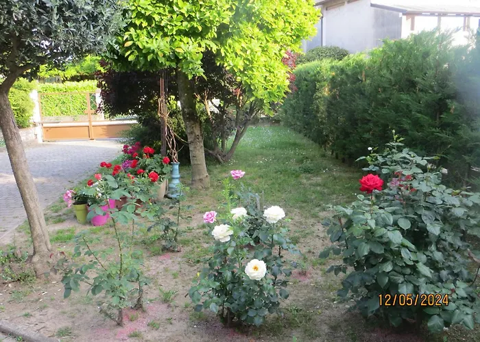 5 Palme Terzo d' Aquiléia