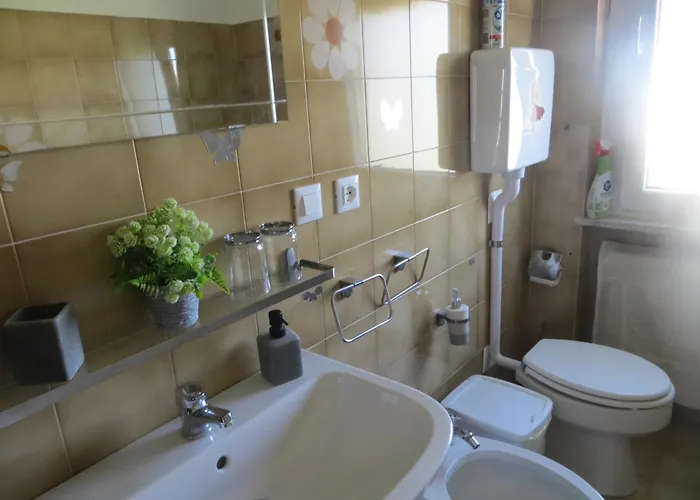 5 Palme Terzo d' Aquiléia